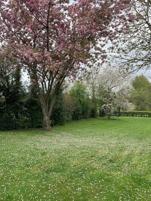 Le Nalousie Villa Livry  Exterior photo